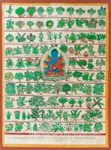 medicine-buddha